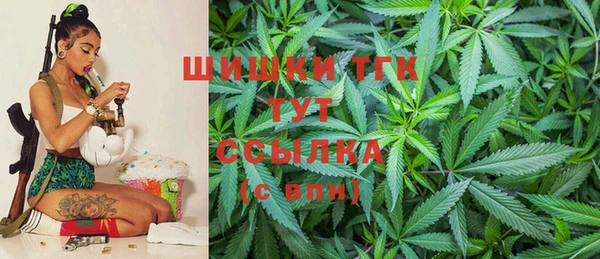 ПСИЛОЦИБИНОВЫЕ ГРИБЫ Алексин
