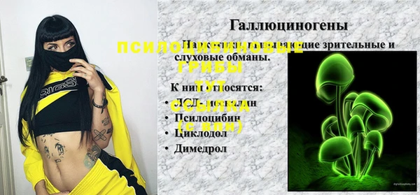 ПСИЛОЦИБИНОВЫЕ ГРИБЫ Алексин